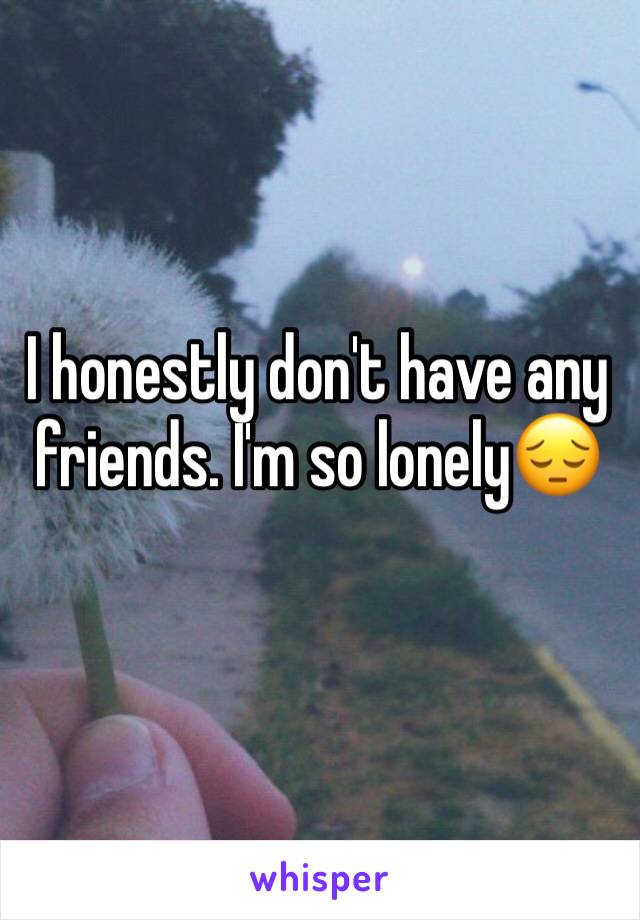 I honestly don't have any friends. I'm so lonely😔