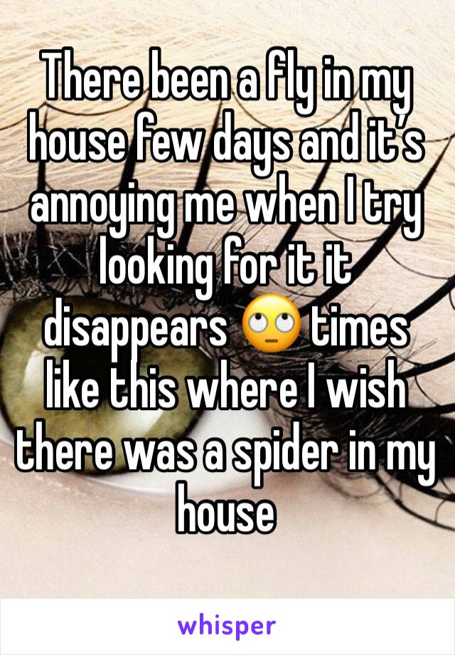 There been a fly in my house few days and it’s annoying me when I try looking for it it disappears 🙄 times like this where I wish there was a spider in my house