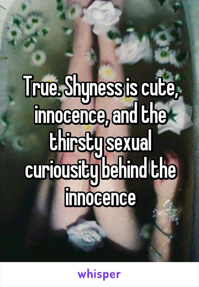 True. Shyness is cute, innocence, and the thirsty sexual curiousity behind the innocence