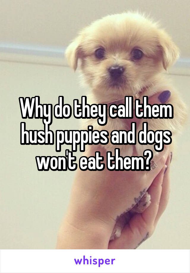 Why do they call them hush puppies and dogs won't eat them? 