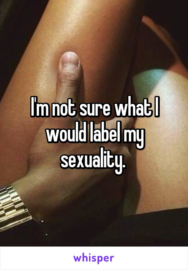 I'm not sure what I would label my sexuality. 