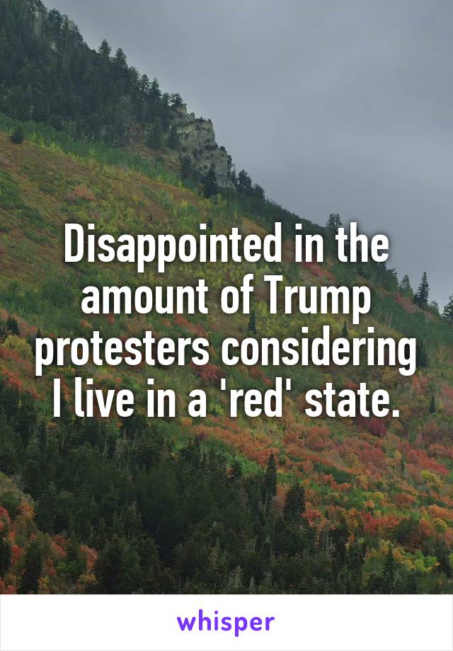 Disappointed in the amount of Trump protesters considering I live in a 'red' state.