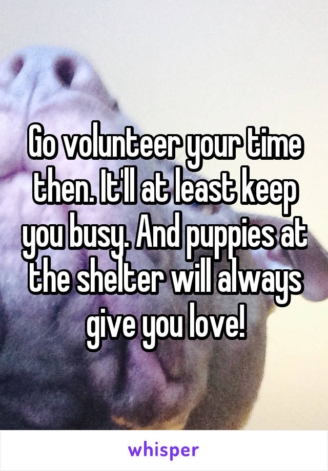 Go volunteer your time then. It'll at least keep you busy. And puppies at the shelter will always give you love!