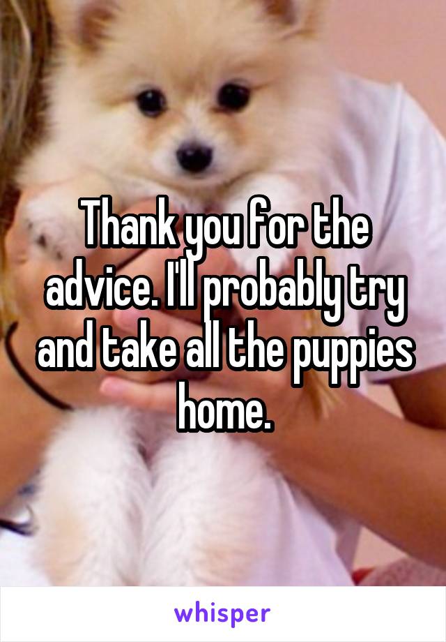 Thank you for the advice. I'll probably try and take all the puppies home.