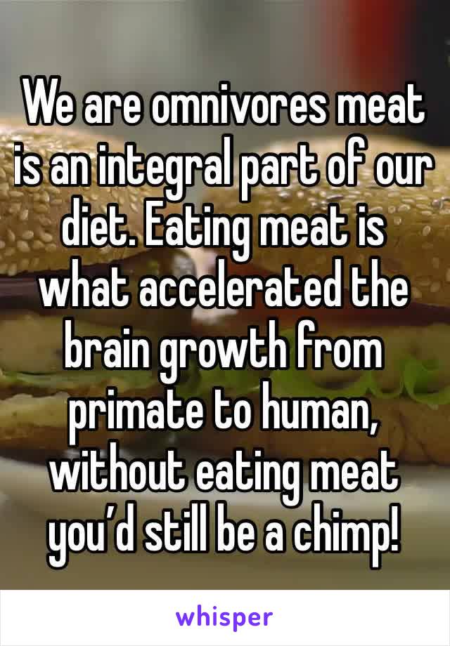 We are omnivores meat is an integral part of our diet. Eating meat is what accelerated the brain growth from primate to human, without eating meat you’d still be a chimp!