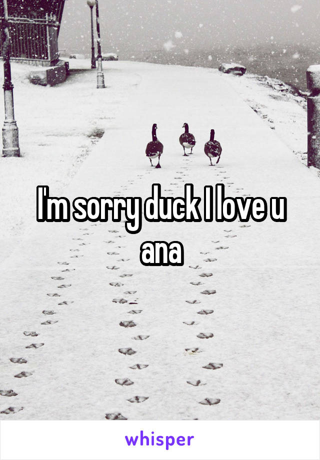 I'm sorry duck I love u ana