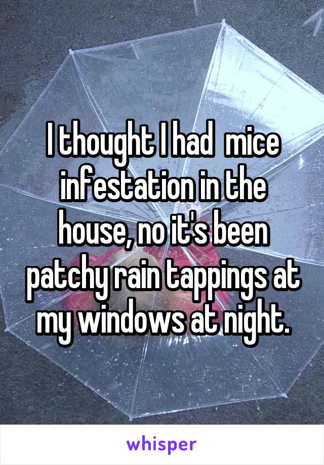 I thought I had  mice infestation in the house, no it's been patchy rain tappings at my windows at night.