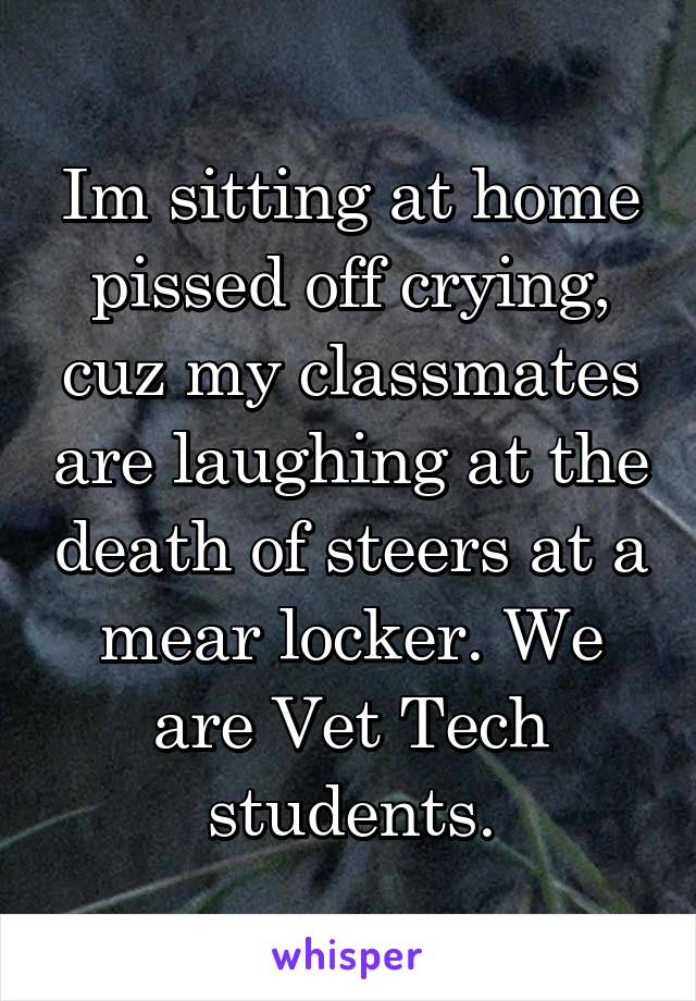 Im sitting at home pissed off crying, cuz my classmates are laughing at the death of steers at a mear locker. We are Vet Tech students.