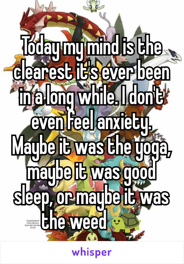 Today my mind is the clearest it's ever been in a long while. I don't even feel anxiety. Maybe it was the yoga, maybe it was good sleep, or maybe it was the weed 🐢