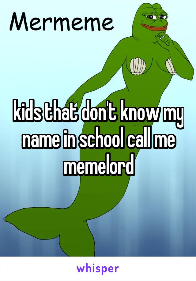 kids that don't know my name in school call me memelord