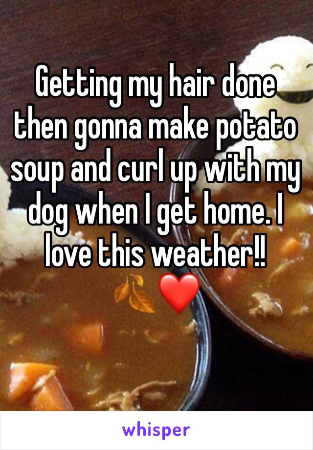 Getting my hair done then gonna make potato soup and curl up with my dog when I get home. I love this weather!! 
🍂❤️