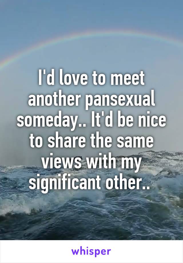 I'd love to meet another pansexual someday.. It'd be nice to share the same views with my significant other.. 