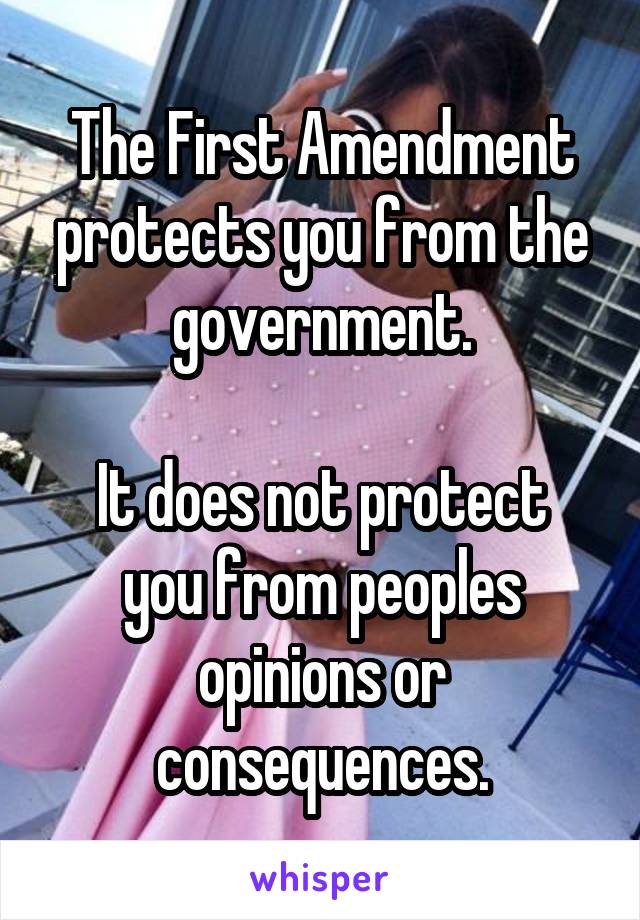 The First Amendment protects you from the government.

It does not protect you from peoples opinions or consequences.