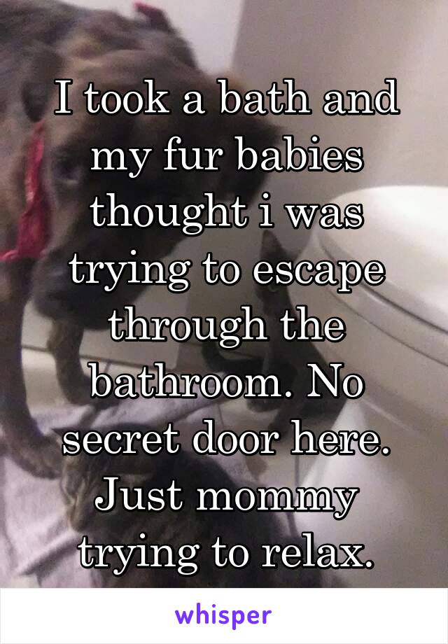 I took a bath and my fur babies thought i was trying to escape through the bathroom. No secret door here. Just mommy trying to relax.