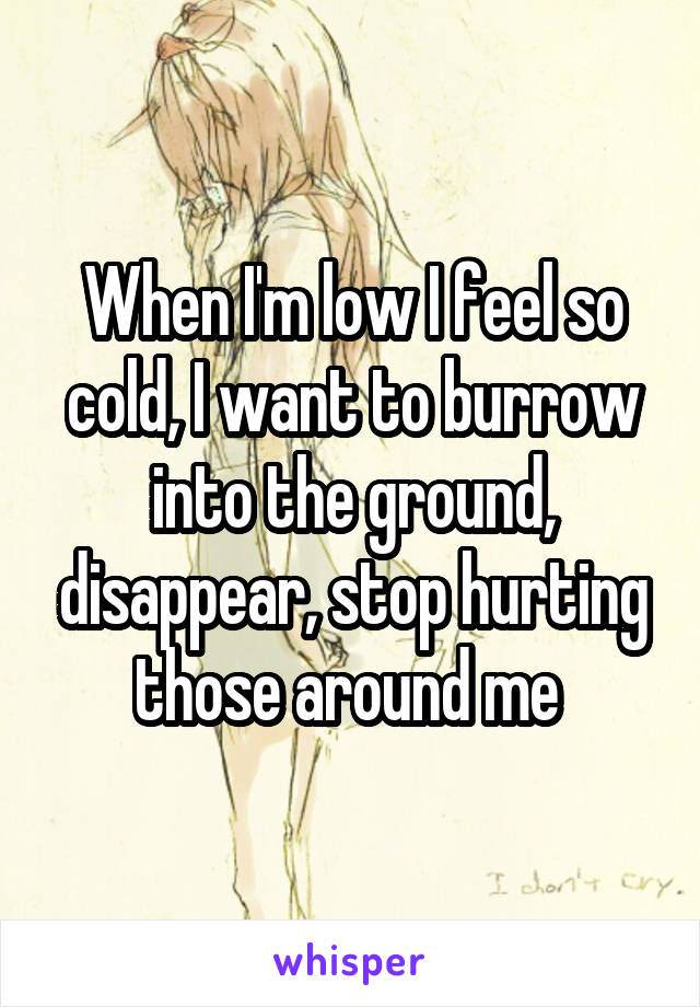 When I'm low I feel so cold, I want to burrow into the ground, disappear, stop hurting those around me 