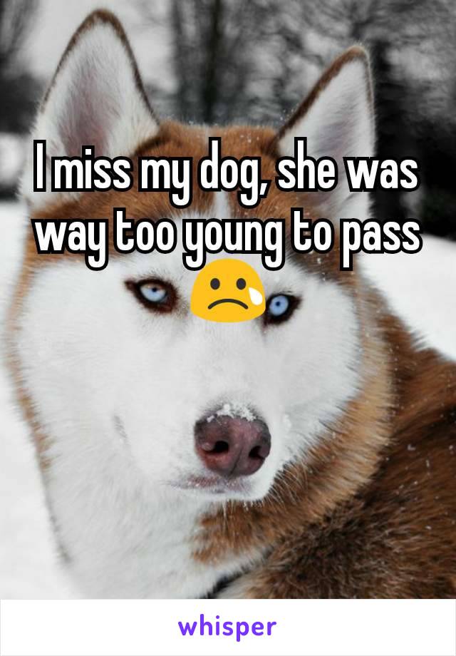 I miss my dog, she was way too young to pass 😢