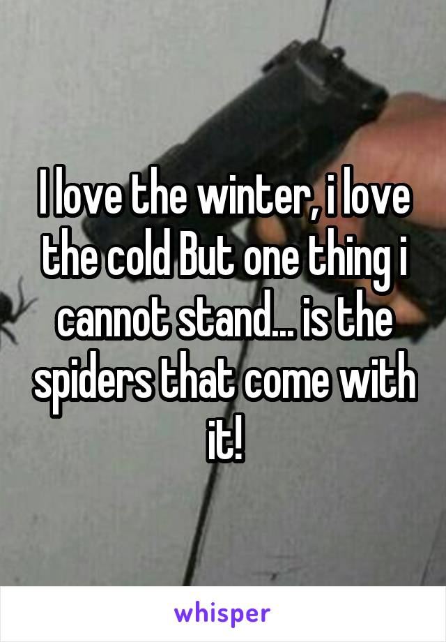 I love the winter, i love the cold But one thing i cannot stand... is the spiders that come with it!