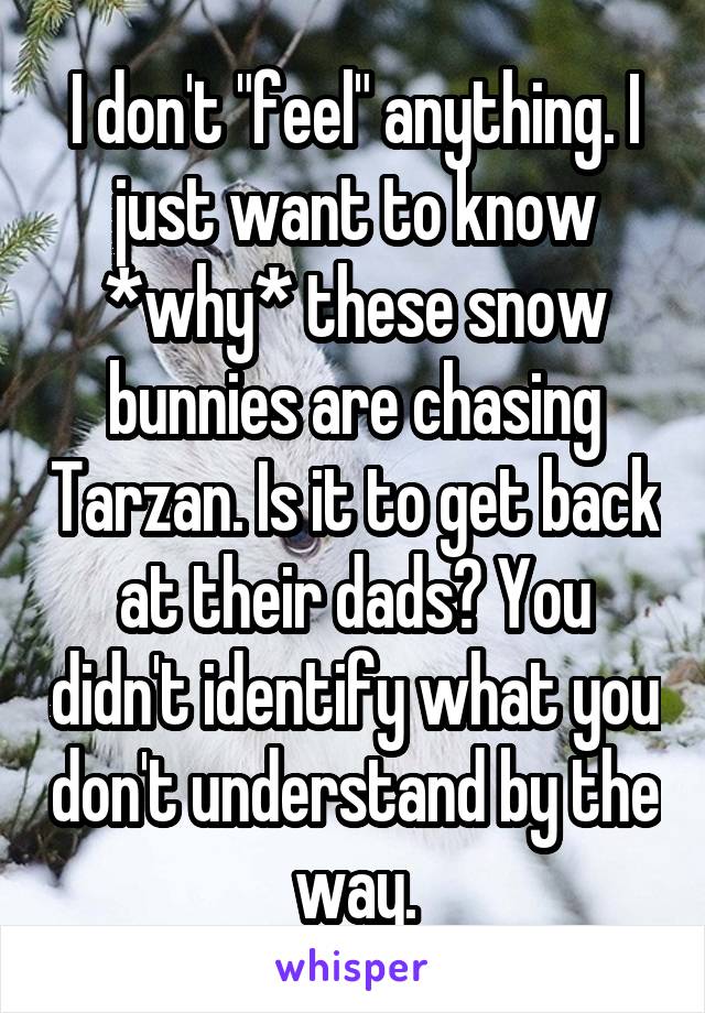 I don't "feel" anything. I just want to know *why* these snow bunnies are chasing Tarzan. Is it to get back at their dads? You didn't identify what you don't understand by the way.