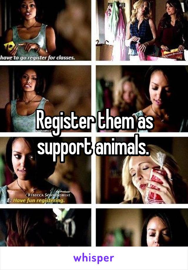 Register them as support animals. 