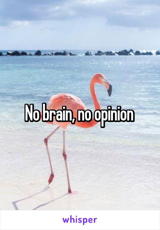 No brain, no opinion 