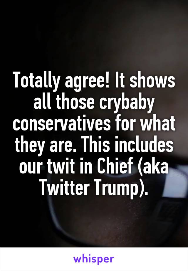 Totally agree! It shows all those crybaby conservatives for what they are. This includes our twit in Chief (aka Twitter Trump).
