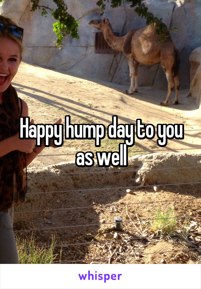 Happy hump day to you as well