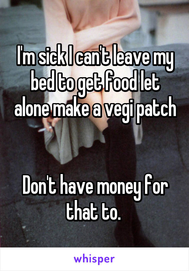 I'm sick I can't leave my bed to get food let alone make a vegi patch 

Don't have money for that to. 