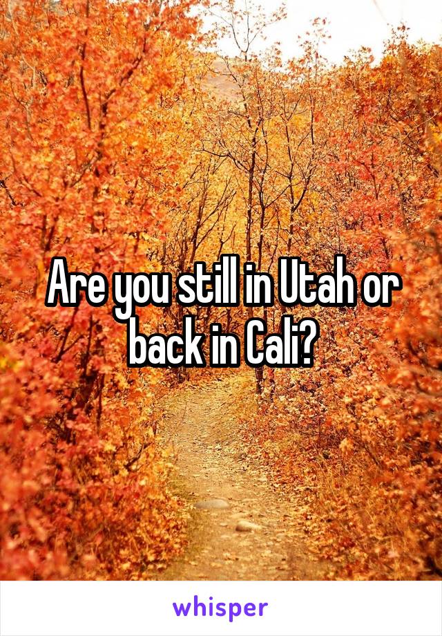 Are you still in Utah or back in Cali?