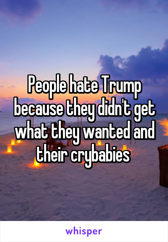 People hate Trump because they didn't get what they wanted and their crybabies 