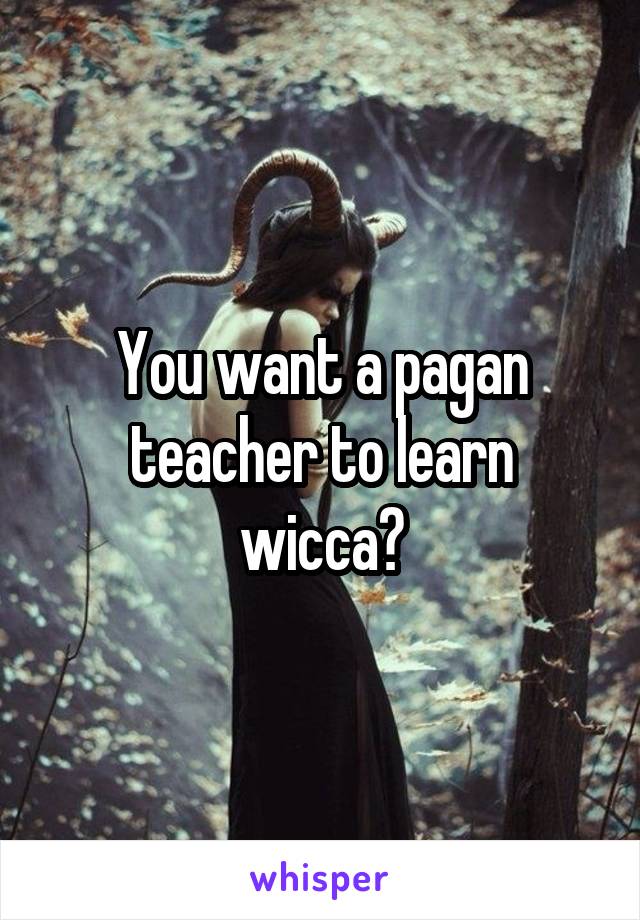 You want a pagan teacher to learn wicca?