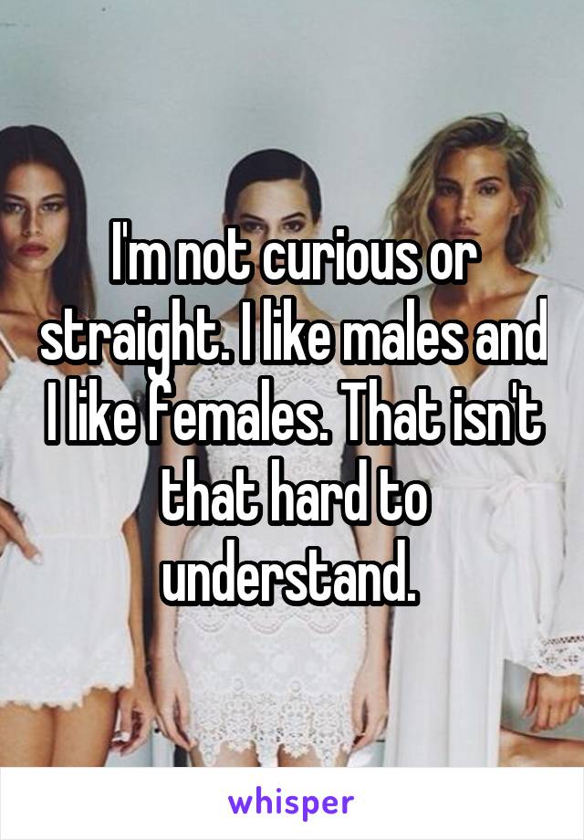 I'm not curious or straight. I like males and I like females. That isn't that hard to understand. 