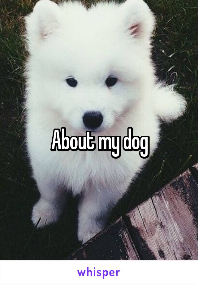 About my dog