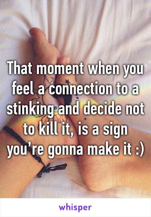 That moment when you feel a connection to a stinking and decide not to kill it, is a sign you’re gonna make it :)