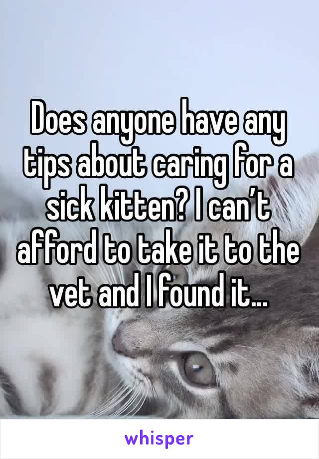 Does anyone have any tips about caring for a sick kitten? I can’t afford to take it to the vet and I found it...