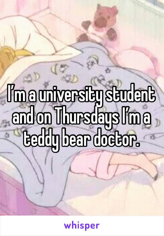 I’m a university student and on Thursdays I’m a teddy bear doctor. 