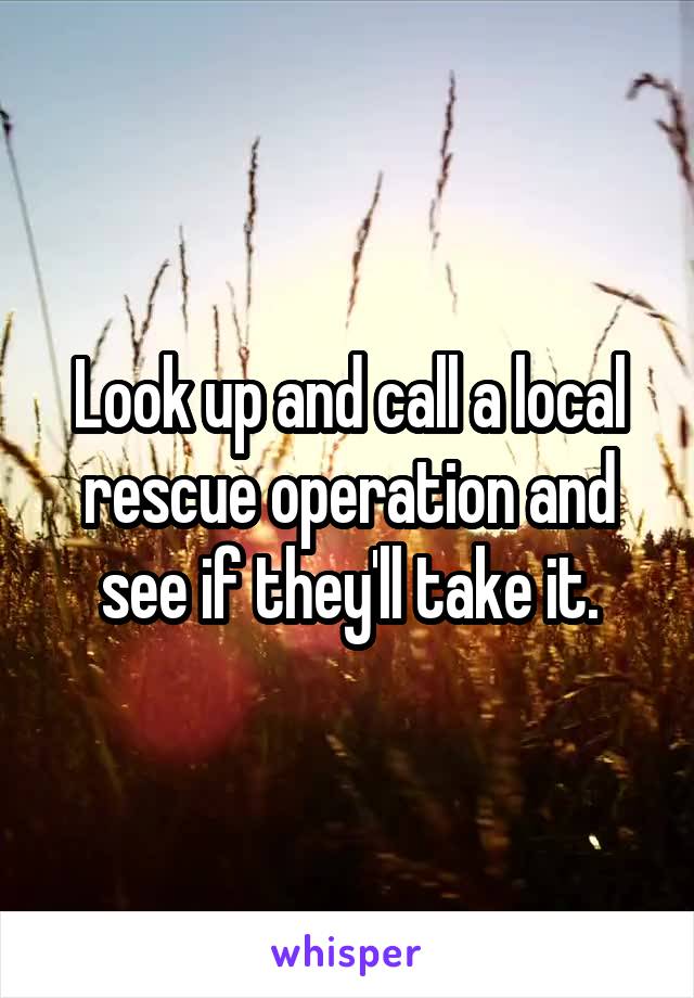 Look up and call a local rescue operation and see if they'll take it.