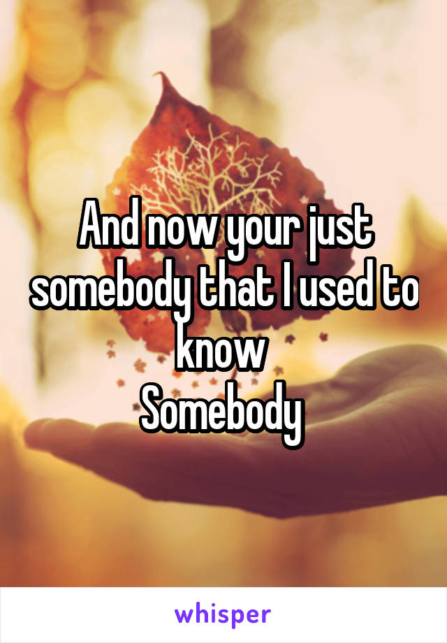 And now your just somebody that I used to know 
Somebody 