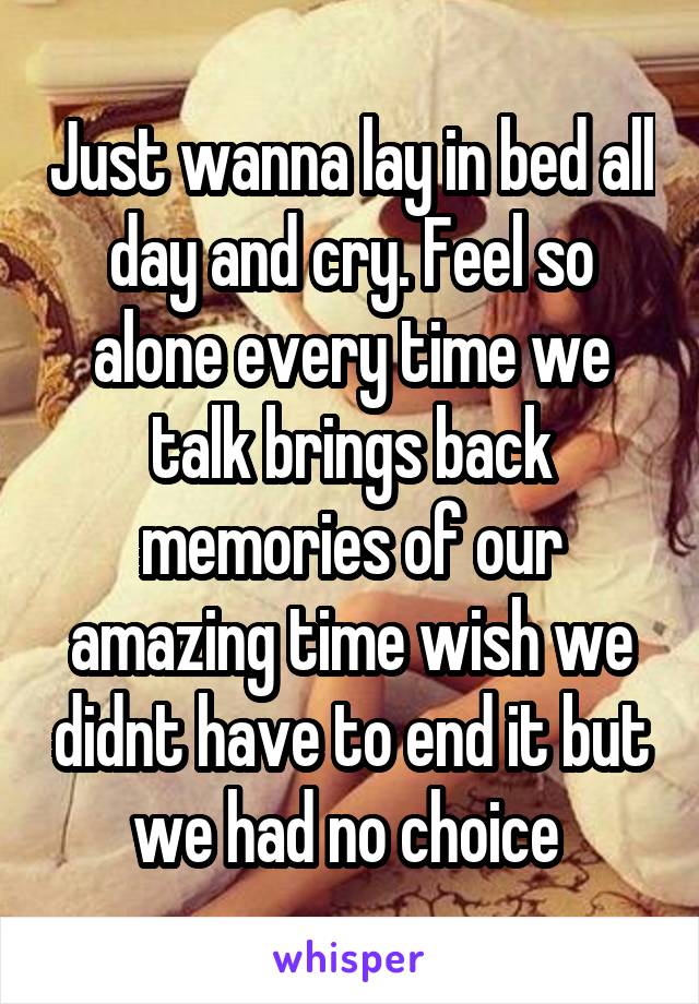 Just wanna lay in bed all day and cry. Feel so alone every time we talk brings back memories of our amazing time wish we didnt have to end it but we had no choice 