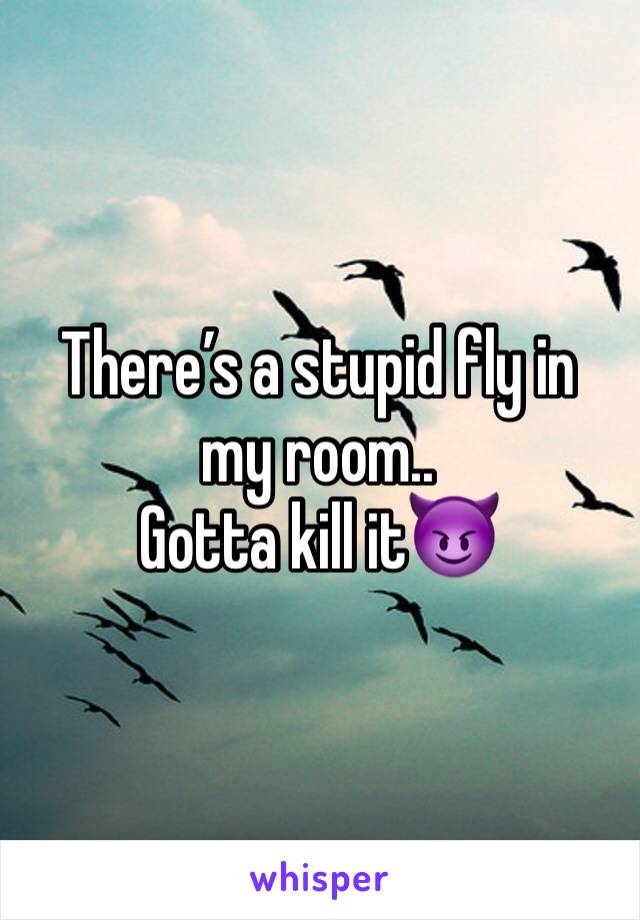 There’s a stupid fly in my room..
Gotta kill it😈