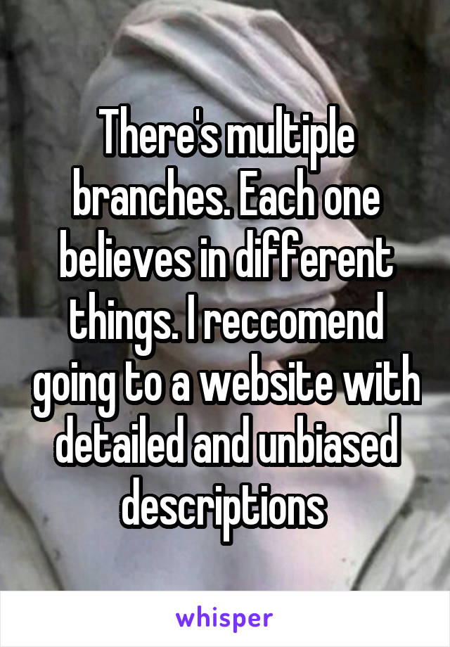 There's multiple branches. Each one believes in different things. I reccomend going to a website with detailed and unbiased descriptions 