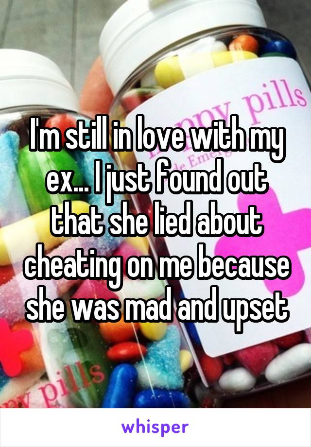 I'm still in love with my ex... I just found out that she lied about cheating on me because she was mad and upset