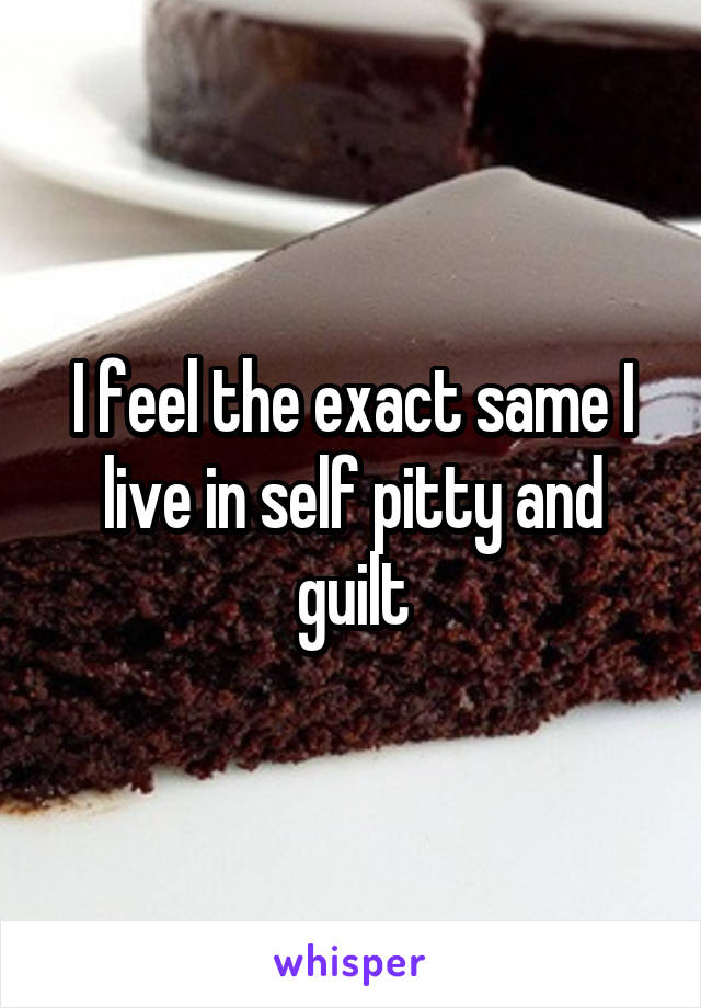 I feel the exact same I live in self pitty and guilt