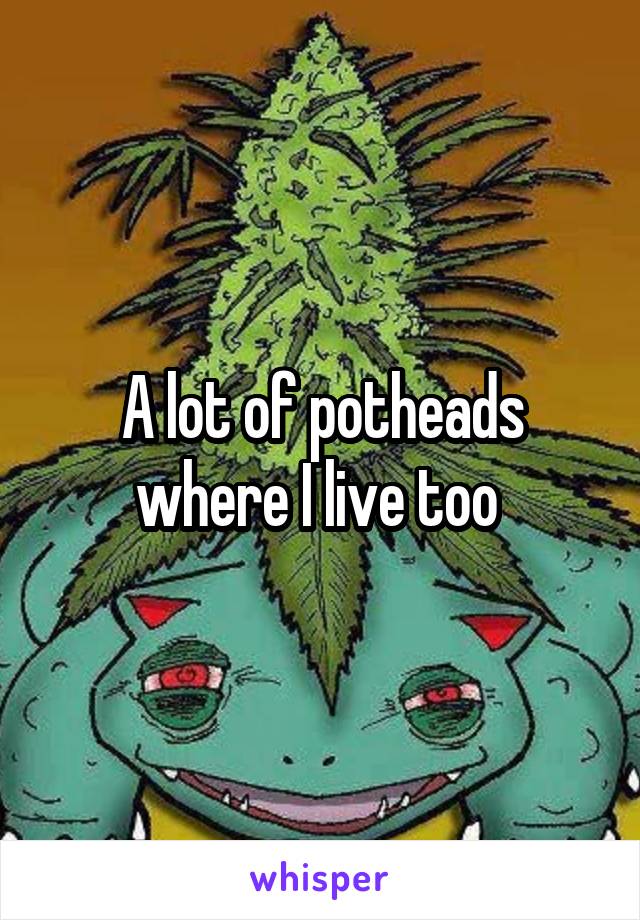 A lot of potheads where I live too 