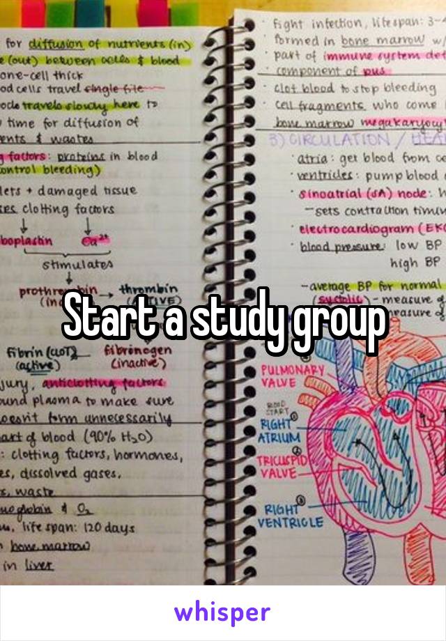 Start a study group