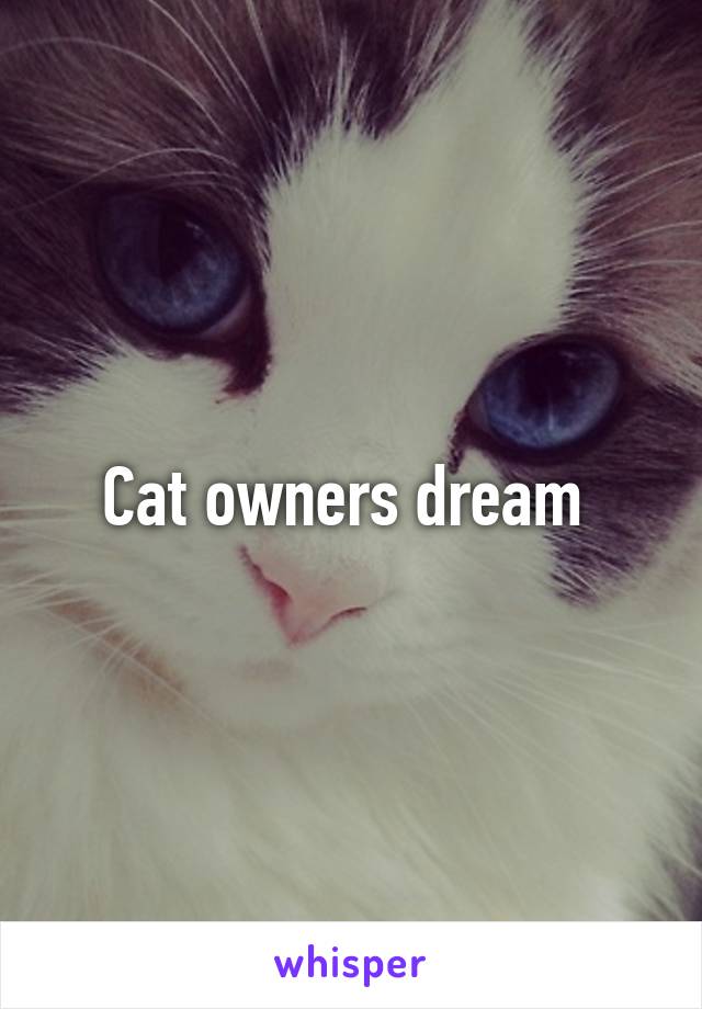 Cat owners dream 