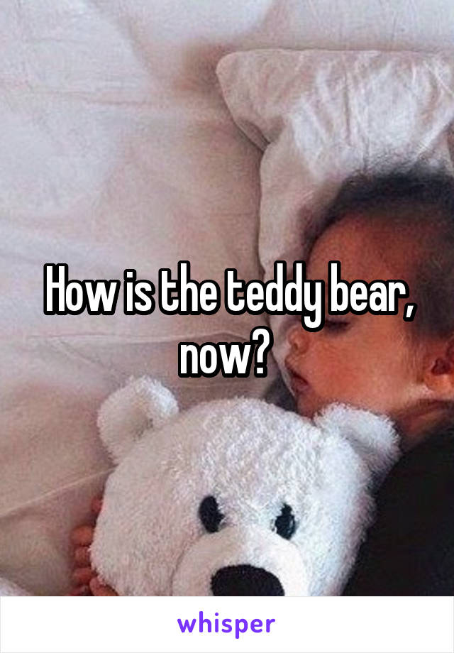 How is the teddy bear, now? 