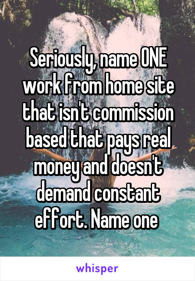 Seriously, name ONE work from home site that isn't commission based that pays real money and doesn't demand constant effort. Name one 