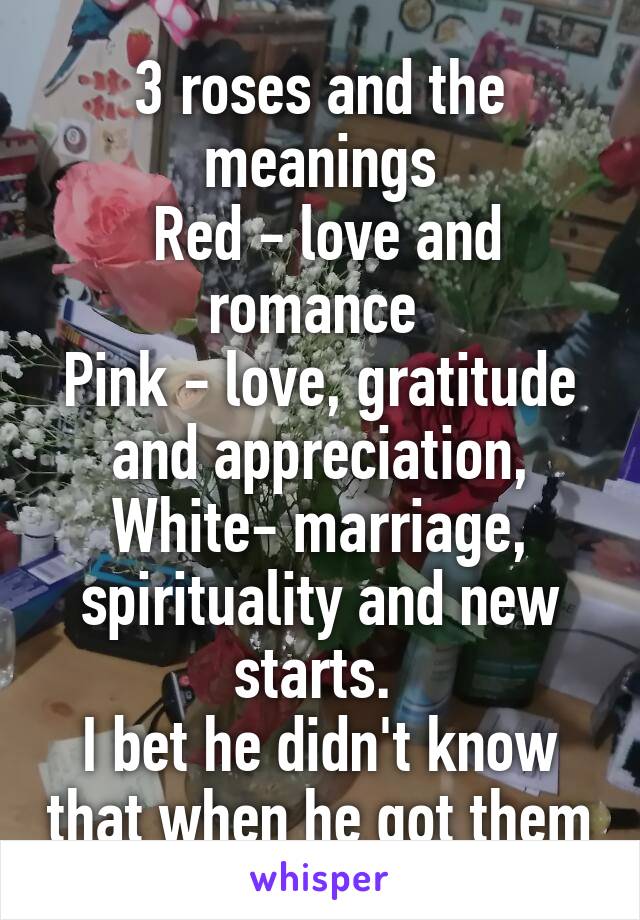 3 roses and the meanings
 Red - love and romance 
Pink - love, gratitude and appreciation,
White- marriage, spirituality and new starts. 
I bet he didn't know that when he got them