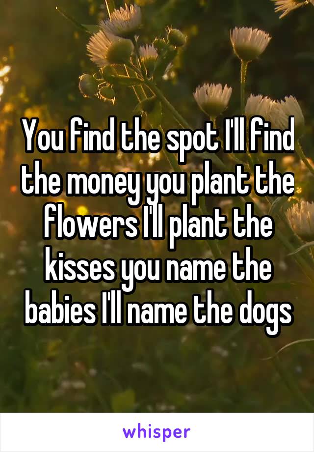 You find the spot I'll find the money you plant the flowers I'll plant the kisses you name the babies I'll name the dogs