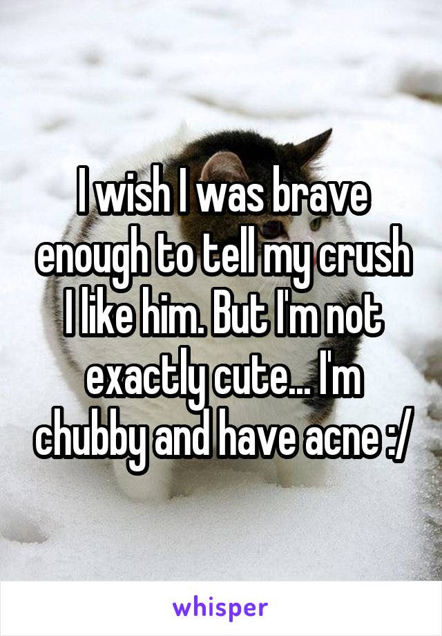 I wish I was brave enough to tell my crush I like him. But I'm not exactly cute... I'm chubby and have acne :/